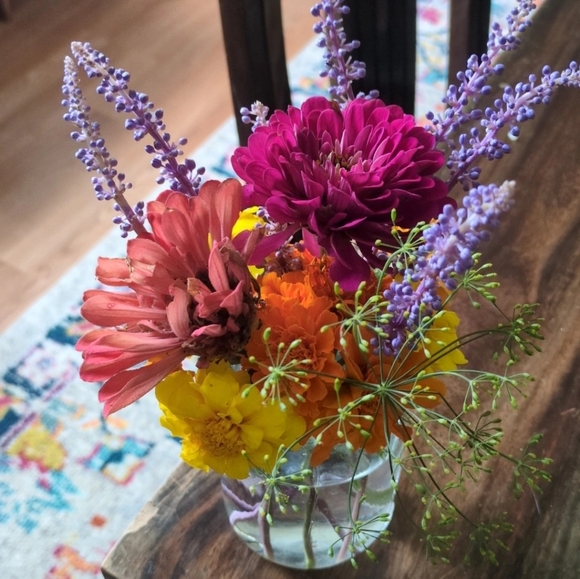 Meet your Posher, Paige - Picture 1 of 1